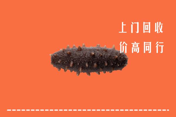 团风县高价回收海参